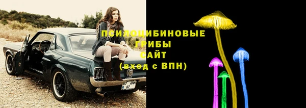 сатива Алексин