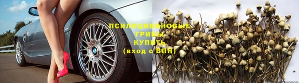 прущая мука Алзамай