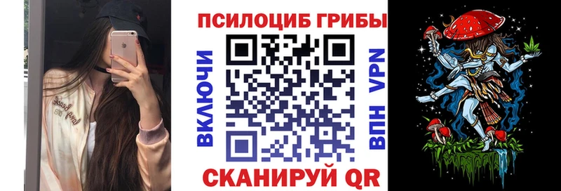 как найти наркотики  Жирновск  Галлюциногенные грибы Psilocybe 